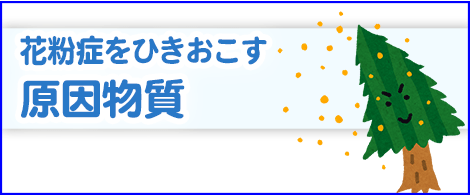 花粉症の症状と特徴